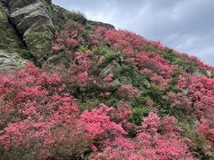 -木兰云雾山