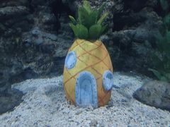 -南昌海洋公园
