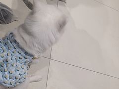 -怪兽屋·羊驼·猫咖·狗咖(俊华广场店)