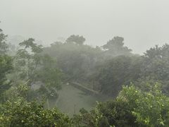 -大围山国家森林公园