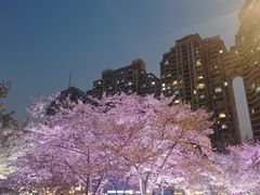 -西北湖绿化广场