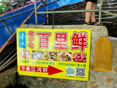 -百里鲜(羚羊峡古栈道森林公园店)