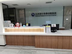 -北京派仕佳德动物医院·超导核磁·CT·神经科·骨科·内外科·急重症管理中心