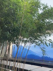 -爱儿美儿童摄影(朝阳公园店)