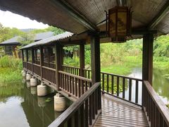 -西山人家·二十年老字号农家菜(旺山店)
