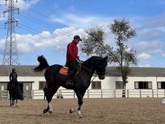 -北京群众马术培训基地