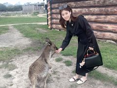 -威勒比开放式动物园