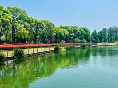 -美兰湖景区
