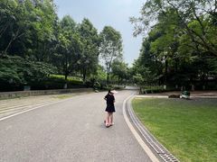 -沐仙湖湿地公园