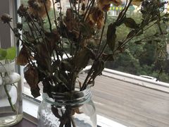 -娜娜家•Nana’Garden (福州道店)