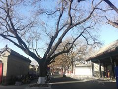 -北京国子监胡同