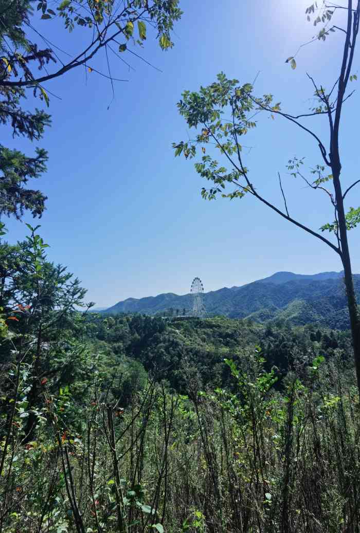 柃蜜小镇·白崖山景区图片