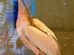 -沈阳森林动物园