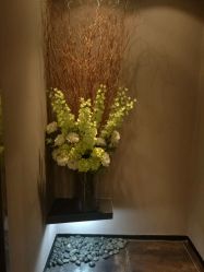 -史云逊养发护发