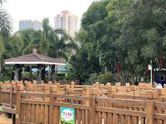 -荔湾区儿童公园