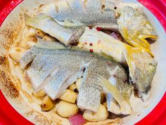 -1937青岛老味道·海肠捞饭·青岛菜(大鲍岛栈桥店)