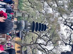 -普陀山风景名胜区-法雨禅寺