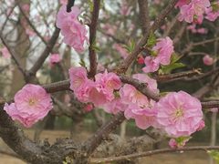 -玲珑塔公园
