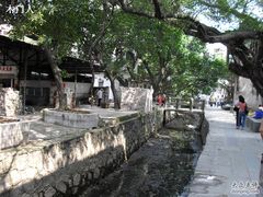 -小洲村