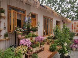 -DORA kids 朵拉儿童摄影花园店