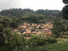 -杨家堂村