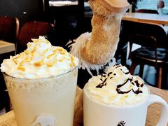 -ZOO COFFEE动物园咖啡(望京锐创店)