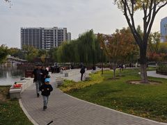 -西海子公园