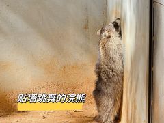 -深圳野生动物园