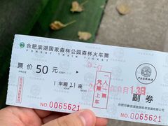 -合肥滨湖国家森林公园