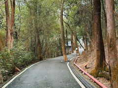 -滴水岩森林公园