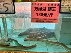 -年辉渔村·非遗传承餐厅(新丰江店)