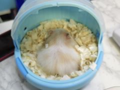 -邦泰·异宠动物医院