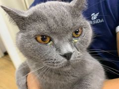 -芭比堂宠物医院·全科爱猫医院·仁德分院