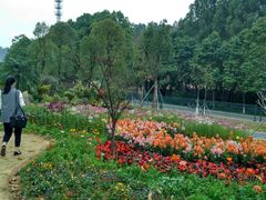 -东莞植物园
