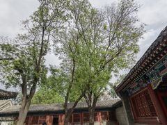 -荣国府
