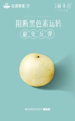 -红妆双美