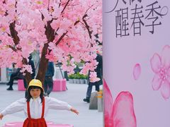 -首开·龙湖成都西宸天街