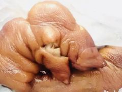 -济南孟家扒蹄店