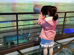 -上海长江河口科技馆