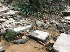 景点-火炉山森林公园