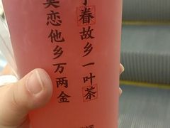 -眷茶(赛格国际购物中心店)