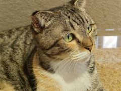 -平行世界·猫咖(首经贸店)