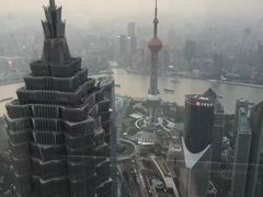 -上海柏悦酒店·世纪100牛排馆