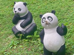 -黔灵山公园