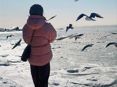 -老虎石海上公园