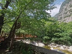 -青峰峡国家森林公园