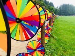 -武陵山森林公园