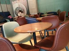 -Wagas(凤凰汇店)