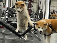 -YCHL Studios健身工作室(市二宫店)
