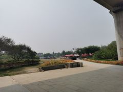 -秀丽东方